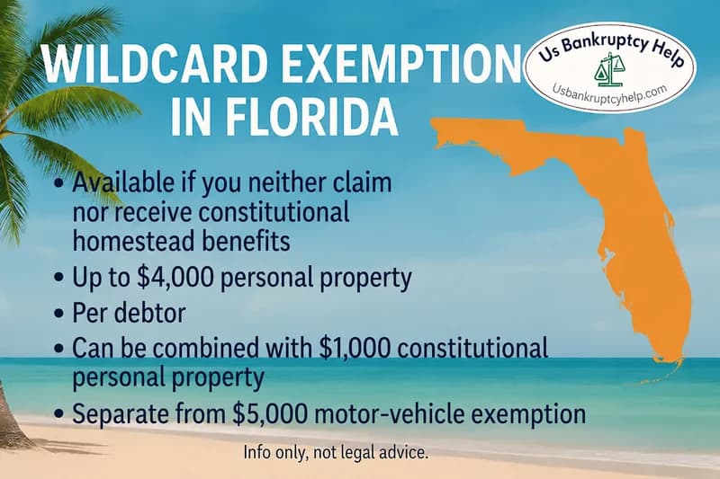 Florida wildcard infographic: $4,000 personal-property allowance; eligibility also requires receiving no constitutional homestead benefits, as explained below.